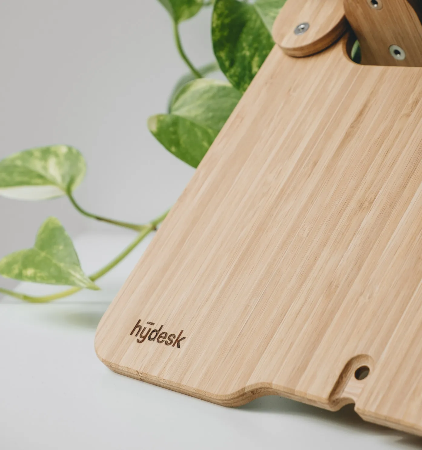 Bamboo panel of the hydesk with its engraved logo